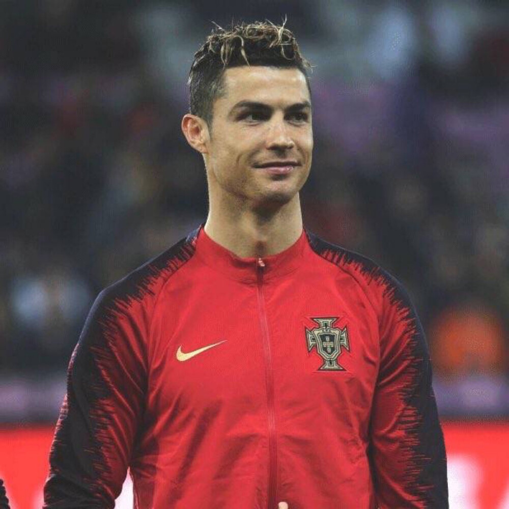 它们是观众 它们是观众